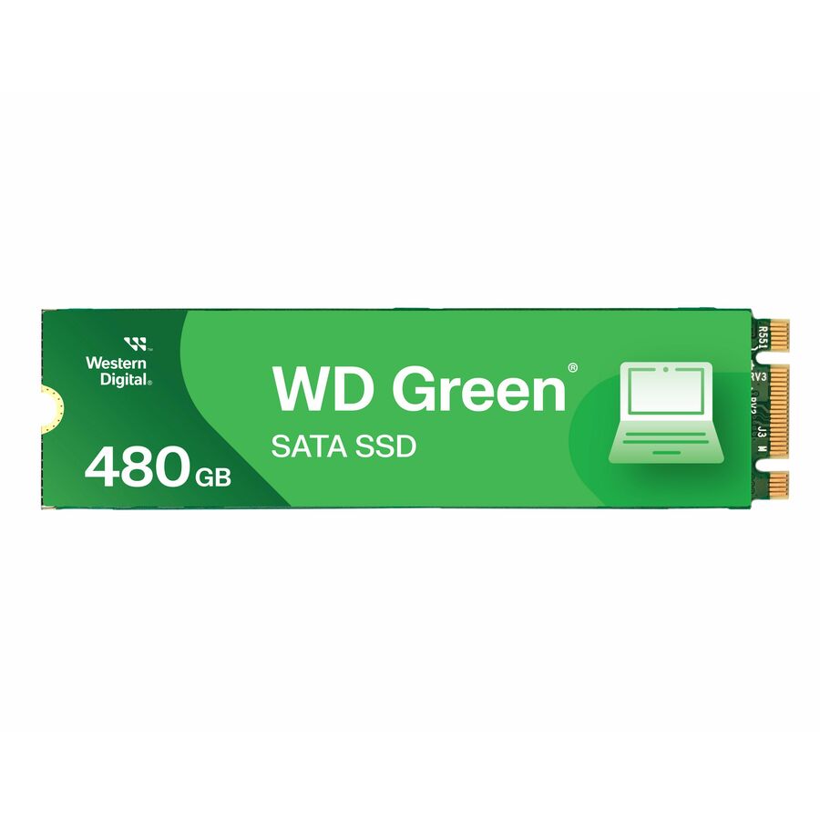 WD Green WDS240G3G0B 240 GB Solid State Drive - M.2 2280 Internal - SATA (SATA/600)