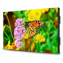 Sharp 55" Ultra-Narrow Bezel Professional-Grade Display - 55" LCD - Super In-plane Switching (S-IPS) Technology - High Dynamic Range (HDR) - 24 Hours/7 Days Operation - 1920 x 1080 - 16:9 - 8 ms - Direct LED - 700 Nit - 1080p - HDMI - USB - DVI - SerialEthernet