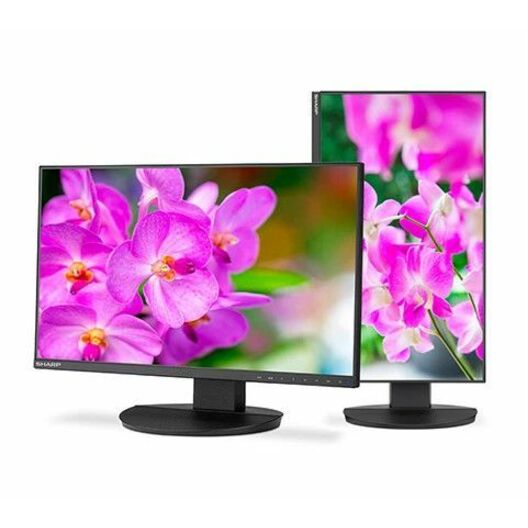 Sharp MultiSync 24" Class Full HD LED Monitor - 16:9 - Black