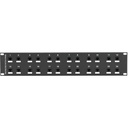 Black Box CAT6 Surge-Protected Patch Panel - 2U, 24-Port