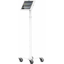 MacLocks iPad Pro M4/iPad Air M2 2024 Enclosure Medical Rolling Cart - Apex Rise Freedom