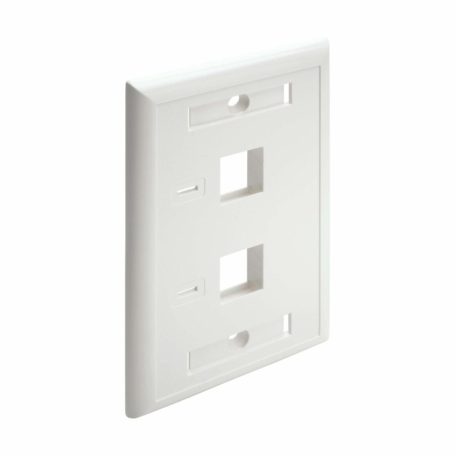 Eaton Tripp Lite Series 2-Port Keystone Faceplate, Single Gang, ID Labels, White, TAA