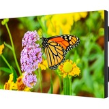 NEC Display 55" Ultra-Narrow Bezel Professional-Grade Display - 55" LCD - 1920 x 1080 - Direct LED - 700 Nit - 1080p - HDMI - USB - DVI - SerialEthernet