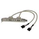 StarTech.com 2 Port USB A Female Slot Plate Adapter Cable - Provides two USB port connections to a motherboard