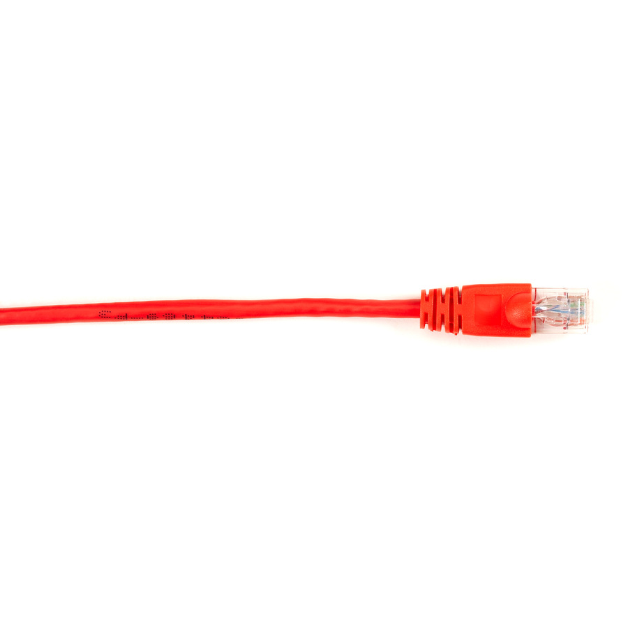 Black Box Cat.6 UTP Patch Network Cable