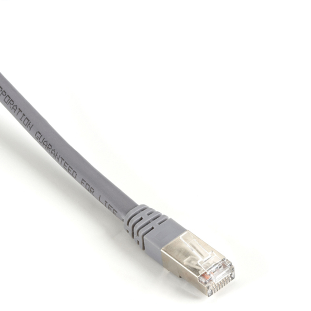 Black Box Cat6 400-MHz, Shielded, Solid Backbone Cable (FTP), Plenum, Gray, 30-ft. (9.1-m)