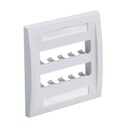 Panduit Executive CFPE10WH-2GY Faceplate
