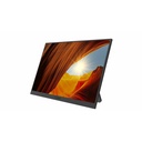 Planar PM16-S 16" Class WUXGA LCD Monitor - 16:10