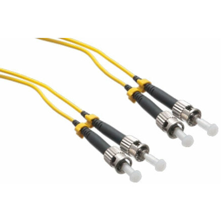 Axiom ST/ST Singlemode Duplex OS2 9/125 Fiber Optic Cable 1m - TAA Compliant