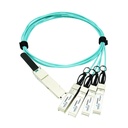 Axiom Fiber Optic Network Cable