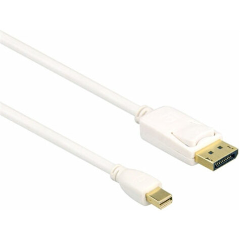 Axiom Mini DisplayPort Male to DisplayPort Male Adapter Cable 10ft