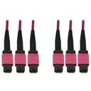 Eaton Tripp Lite Series 40/100/400G Multimode 50/125 OM4 Fiber Optic Cable (3x8F MTP/MPO-PC F/F), LSZH, Magenta, 15 m (49.2 ft.)