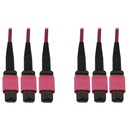 Eaton Tripp Lite Series 40/100/400G Multimode 50/125 OM4 Fiber Optic Cable (3x8F MTP/MPO-PC F/F), LSZH, Magenta, 10 m (32.8 ft.)