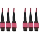 Tripp Lite by Eaton 40/100/400G Multimode 50/125 OM4 Fiber Optic Cable (3x8F MTP/MPO-PC F/F) LSZH Magenta 45 m (147.6 ft.)