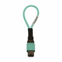 Eaton Tripp Lite Series Multimode 50/125 OM3 Loopback Fiber Optic Cable Tester (12F MTP/MPO Female), LSZH, Aqua