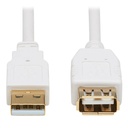 Eaton Tripp Lite Series Safe-IT USB 2.0 Antibacterial Extension Cable (A M/F), USB 2.0, White, 6 ft. (1.83 m)