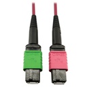 Tripp Lite by Eaton 400G Multimode 50/125 OM4 Plenum Fiber Optic Cable 16F MTP/MPO-APC to MTP/MPO-UPC (F/F) Magenta 1 m