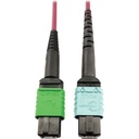 Eaton Tripp Lite Series 400G Multimode 50/125 OM4 Plenum Fiber Optic Cable, 16F MTP/MPO-APC to 24F MTP/MPO-UPC (F/F), Magenta, 1 m