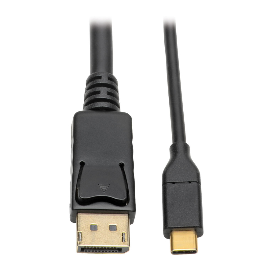 Eaton Tripp Lite Series USB-C to DisplayPort Active Adapter Cable (M/M), 4K 60 Hz, 10 ft. (3.1 m)