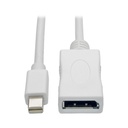 Eaton Tripp Lite Series Keyspan Mini DisplayPort to DisplayPort Adapter Cable (M/F), 4K 60 Hz, DP 1.2, HDCP 2.2, 10 ft. (3.1 m)