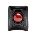 Kensington Expert Mouse TrackBall