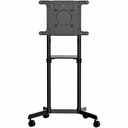 StarTech Mobile TV Cart, Portable Rolling TV Stand, 37-70 inch VESA Display Mount (154lb/70kg), Shelf & Storage, Rotate/Tilt Display