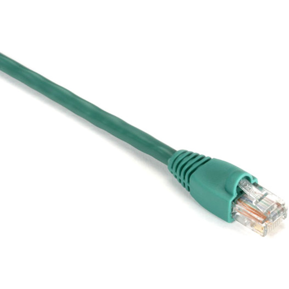 Black Box Gigabase Cat. 5E UTP Patch Cable - RJ-45 Male - RJ-45 Male - 10ft - Green