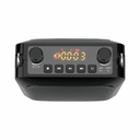Hamilton Buhl Amp-Up Public Address System