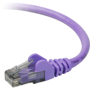 Belkin Cat. 6 UTP Patch Cable - RJ-45 Male - RJ-45 Male - 5ft - Purple