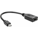 Rocstor 6in Mini DisplayPort to DisplayPort Video Cable Adapter - M/F