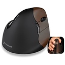 Evoluent Verticalmouse 4 Small Wireless Mouse