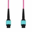 AddOn 15m MPO/UPC to MPO/UPC Magenta OM4 OFNR (Riser-Rated) 12-Strand Fiber Patch Cable