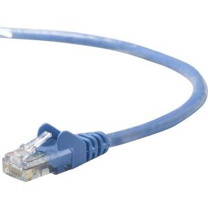 Belkin Cat. 5e Patch Cable - RJ-45 Male - RJ-45 Male - 50ft