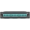 Black Box FOCA20M3-1MP12-12LC Network Patch Panel
