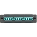 Black Box FOCA20M3-1MP12-12LC Network Patch Panel
