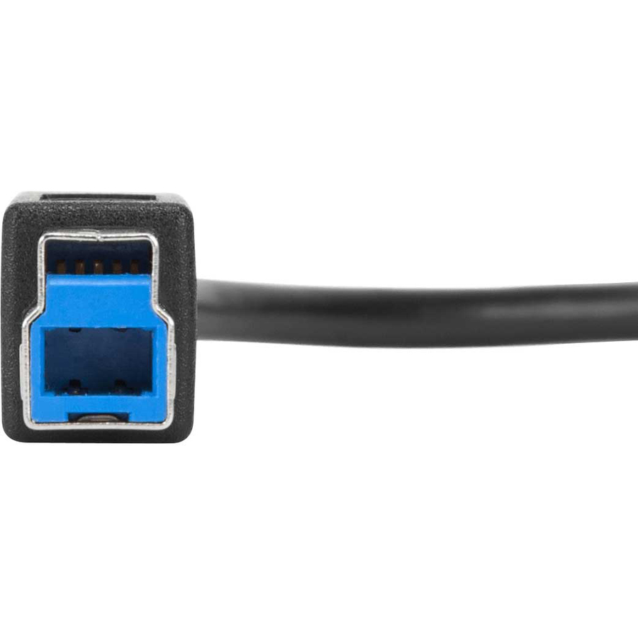 Targus 1-Meter USB-C to USB-B 5Gbps Cable