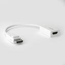 Rocstor DisplayPort (Male) to HDMI (Female) Adapter Converter