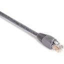 Black Box Gigabase Cat. 5E UTP Patch Cable - RJ-45 Male - RJ-45 Male - 2ft - Gray