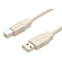 StarTech Beige USB 2.0 cable - 4 pin USB Type A (M) - 4 pin USB Type B (M) - 15 ft