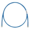 PANDUIT Cat.6 UTP Patch Cord - RJ-45 Male Network - RJ-45 Male Network - 2ft - Blue, Clear