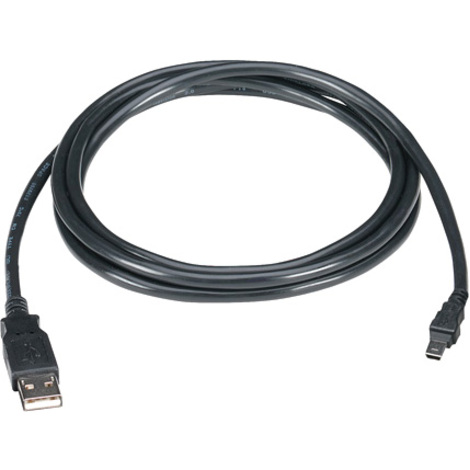 Black Box USB 2.0 A to Mini B Cable