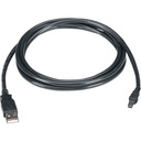 Black Box USB 2.0 A to Mini B Cable