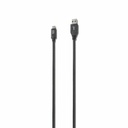 iStore USB-C to USB-A Cable