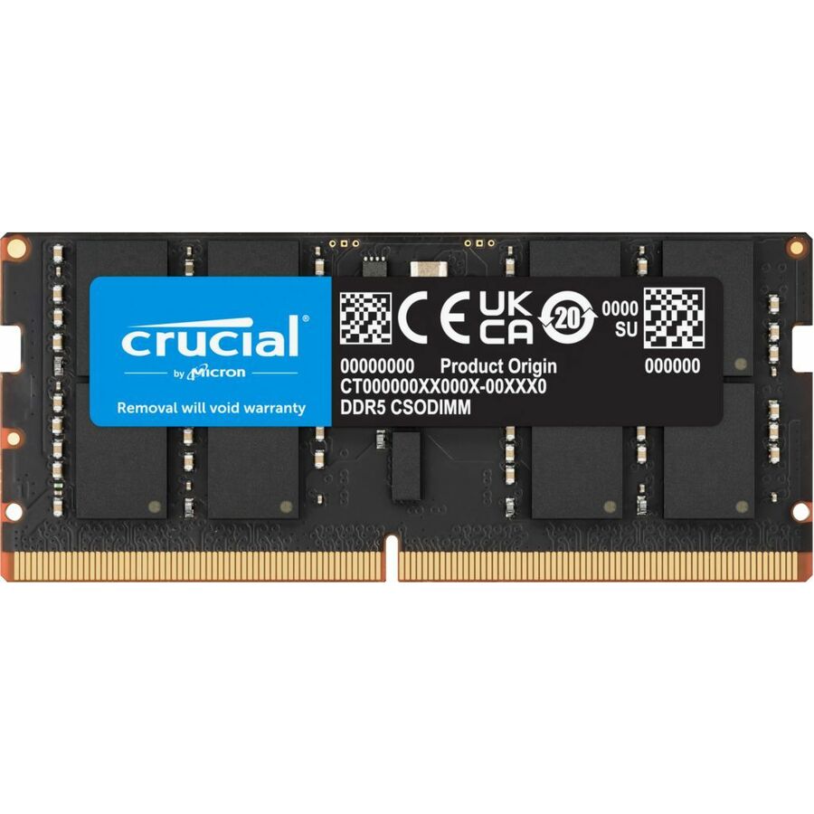 Crucial RAM Module