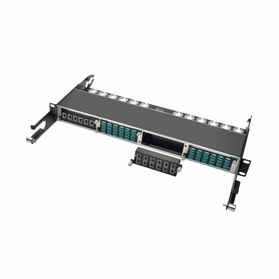 Eaton Tripp Lite Series 40Gb Pass-Through Cassette - (x12) 12-Fiber MTP/MPO ( Female )
