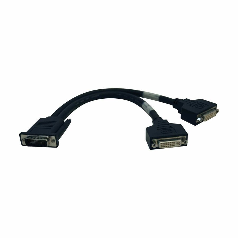 Eaton Tripp Lite Series DMS-59 to Dual DVI Splitter Y Cable (M to 2x DVI-I F), 1 ft. (0.31 m)