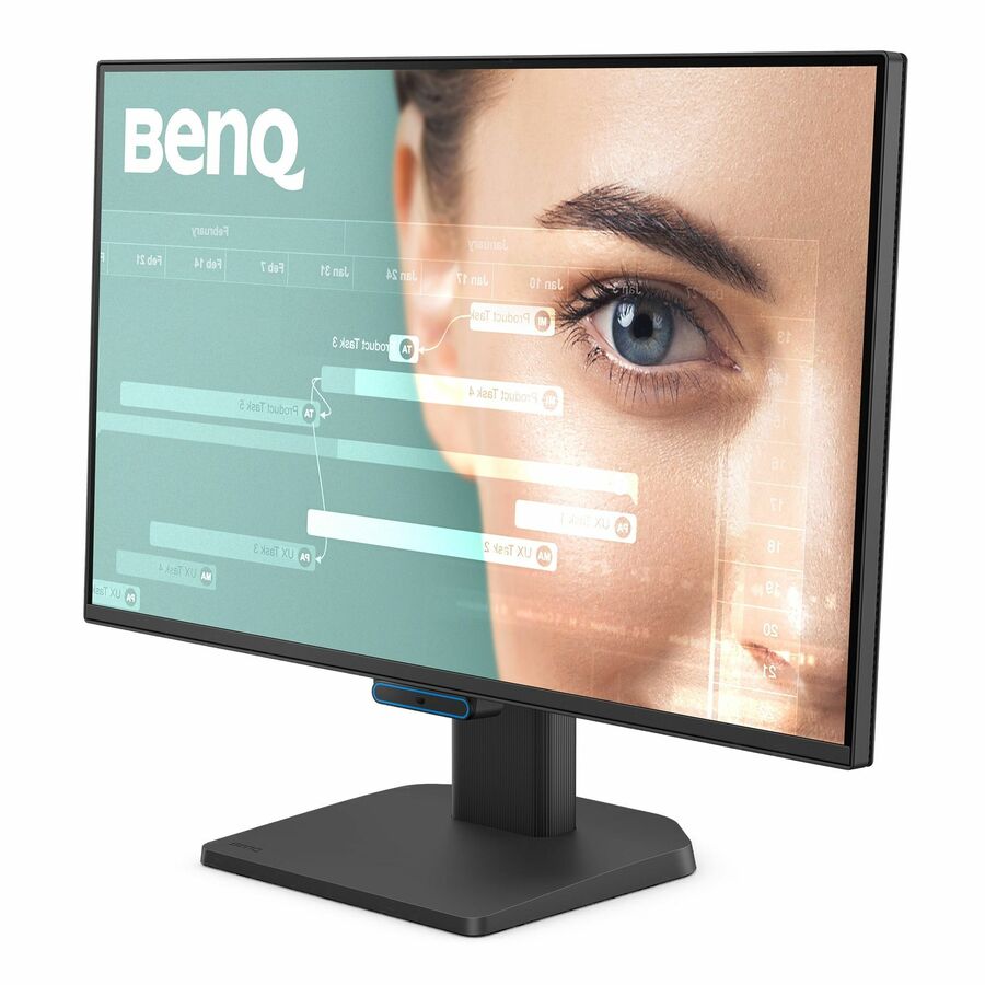 BenQ GW2490C 24" Class Full HD LED Monitor - 16:9