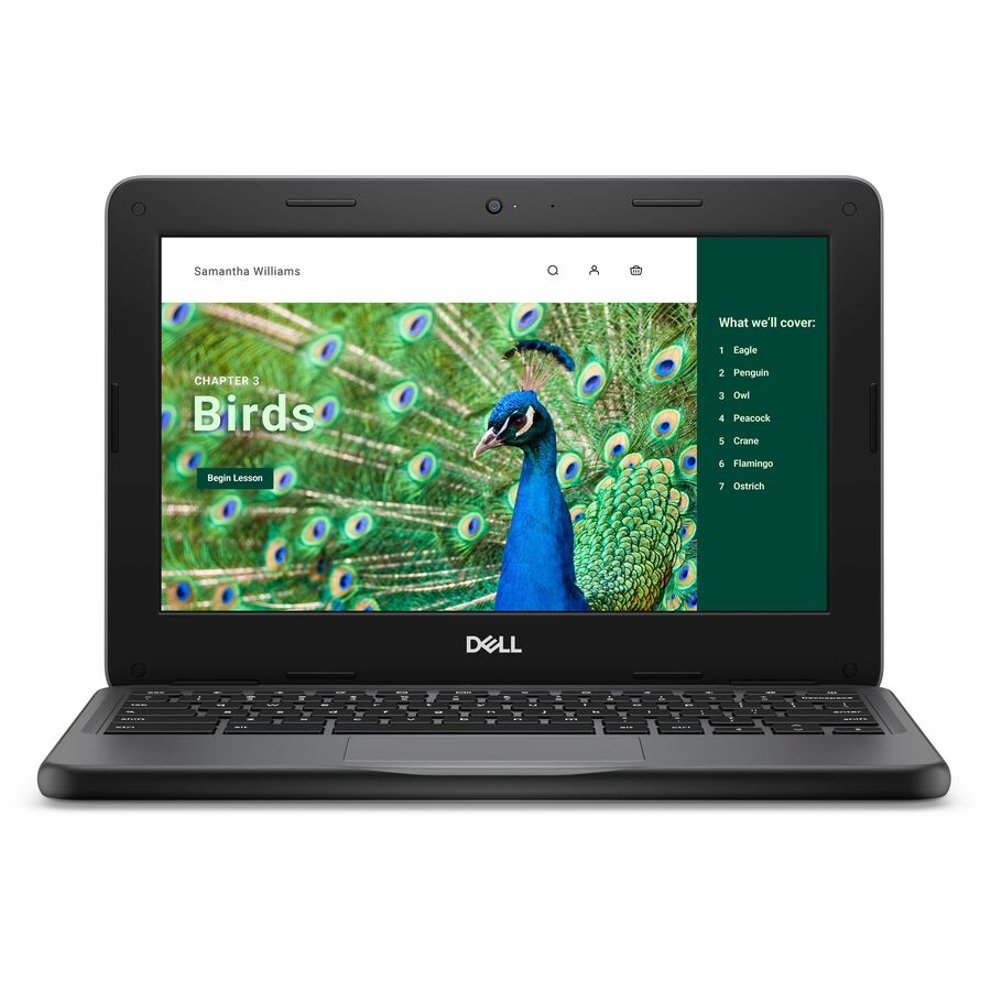 Dell Chromebook 3000 3120 11.6" Clamshell Chromebook - HD - 60 Hz - Intel N-Series N100 - 4 GB - 64 GB Flash Memory - English (US) Keyboard - Gray