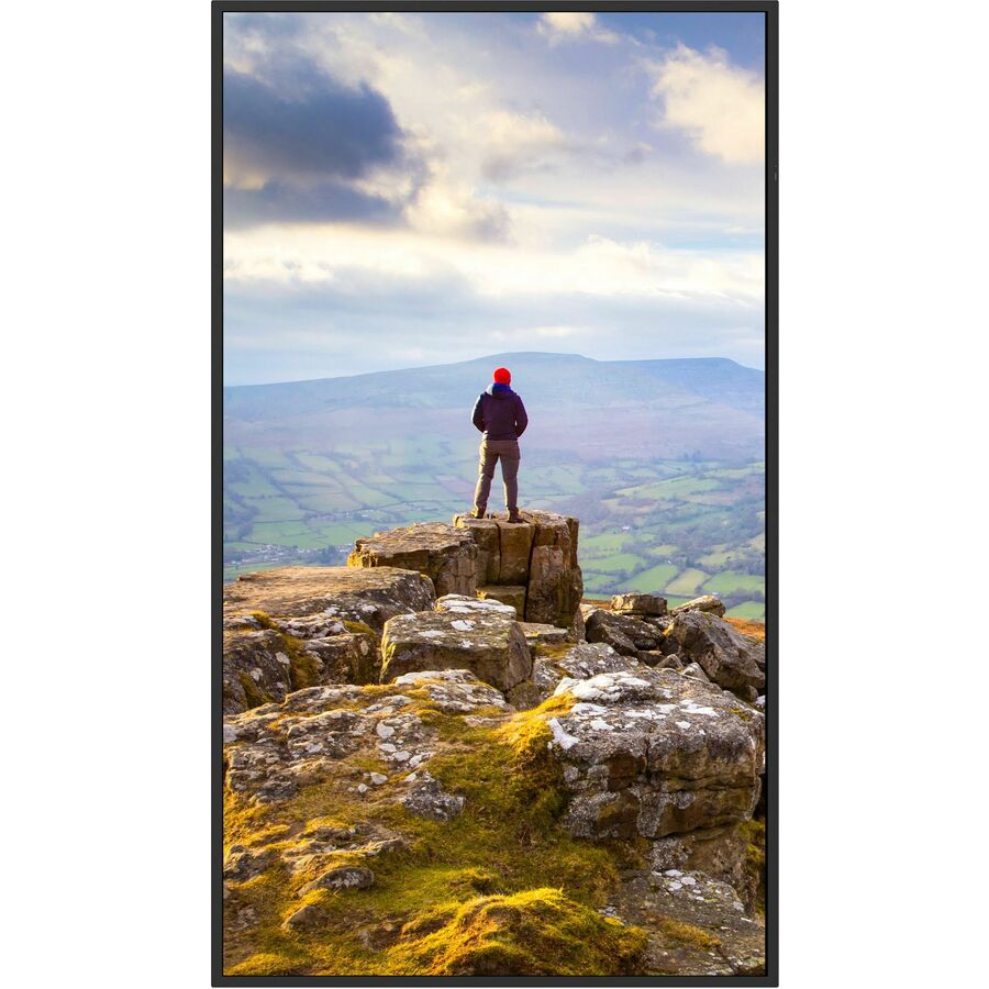 SHARP® PN-E559 55" 4K UHD Professional Display