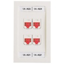 Panduit Network Faceplate